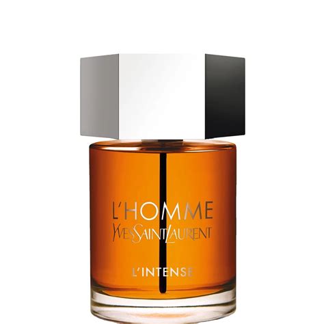 ysl lhonme|yves saint laurent homme.